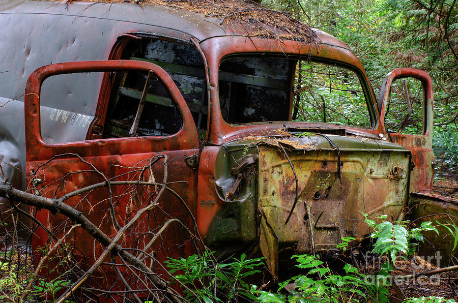 Abandoned Car Series 3 Photograph by Bob Christopher