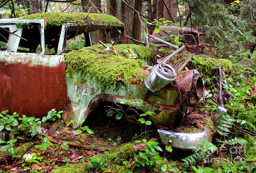 Abandoned Car Series 5 Photograph by Bob Christopher