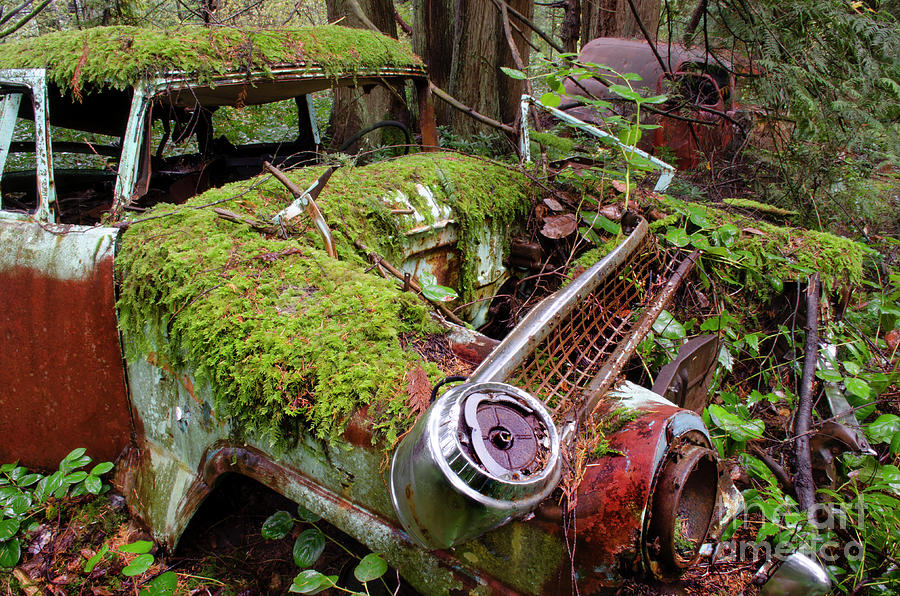 Abandoned Car Series 6 Photograph by Bob Christopher