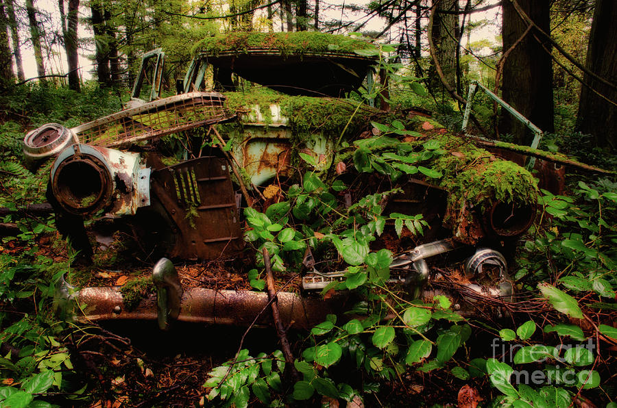 Abandoned Car Series 7 Photograph by Bob Christopher