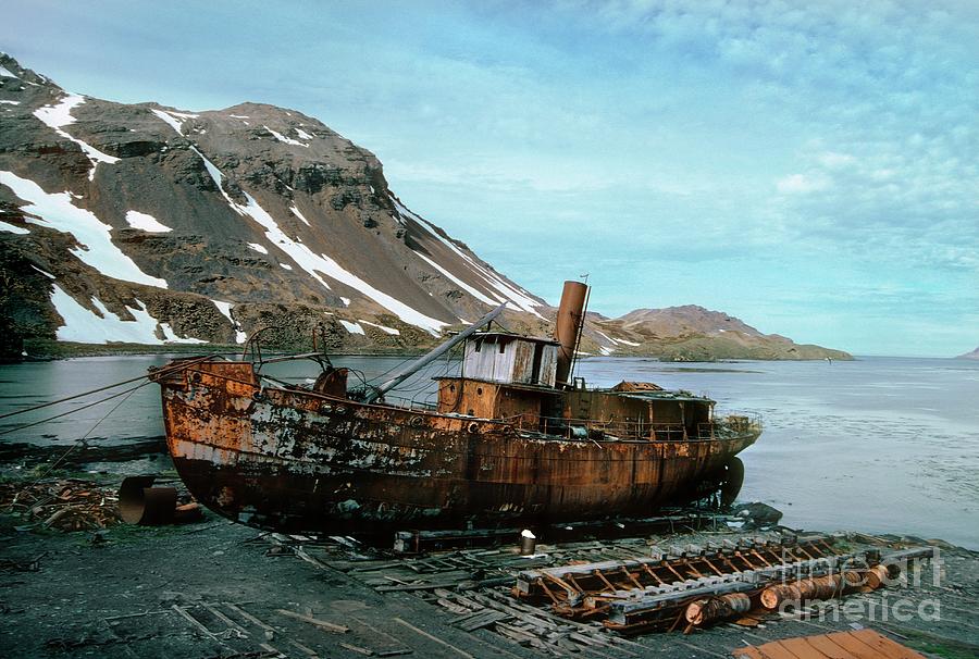 Abandoned Antarctic Whaling Ship Photograph by British Antarctic Survey/science Photo Library