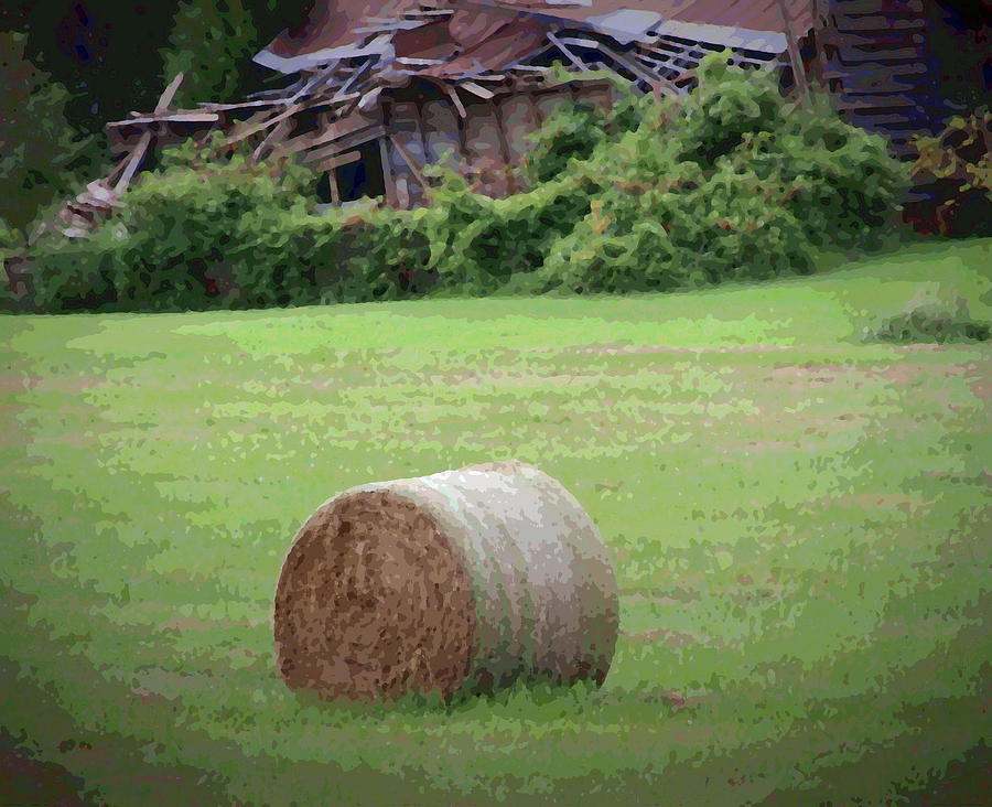 Abandoned Barn and Hay Roll 2018b Photograph by Cathy Lindsey