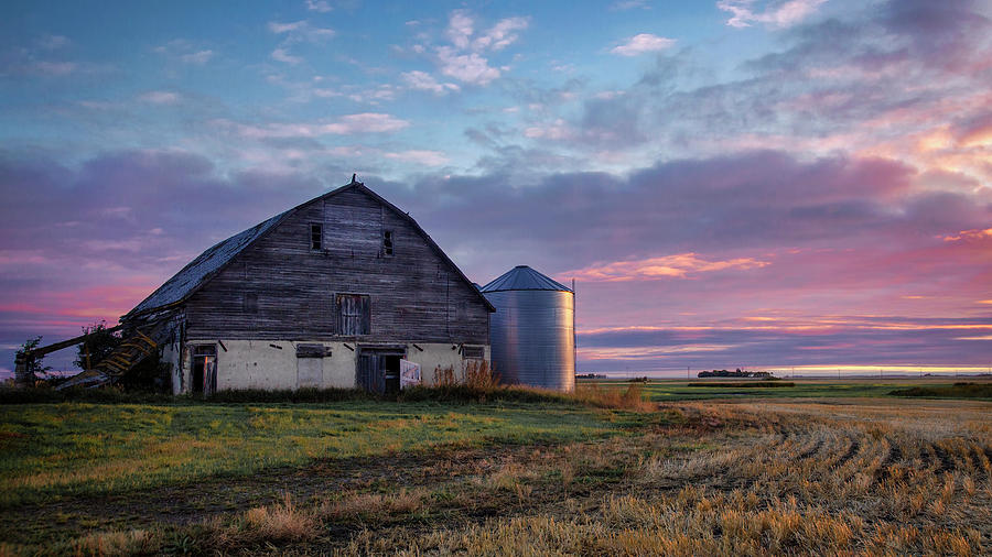 Abandoned Barn In Manitoba  Photograph by Harriet Feagin