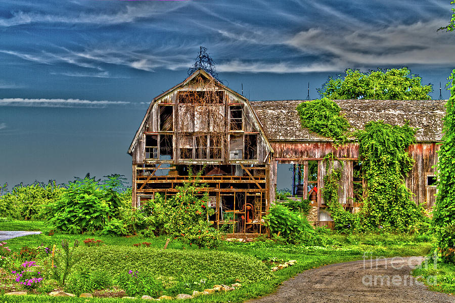Abandoned Barn Photograph by William Norton