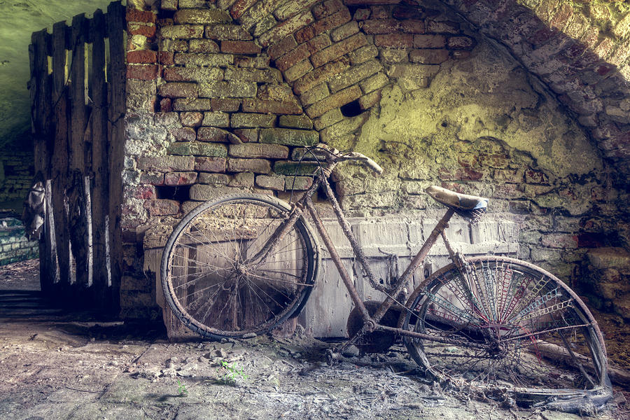 Abandoned Bicycle in the Cellar Photograph by Roman Robroek
