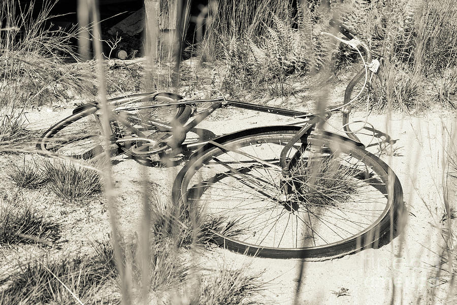 Barn Photograph - Abandoned Bike by Edward Fielding