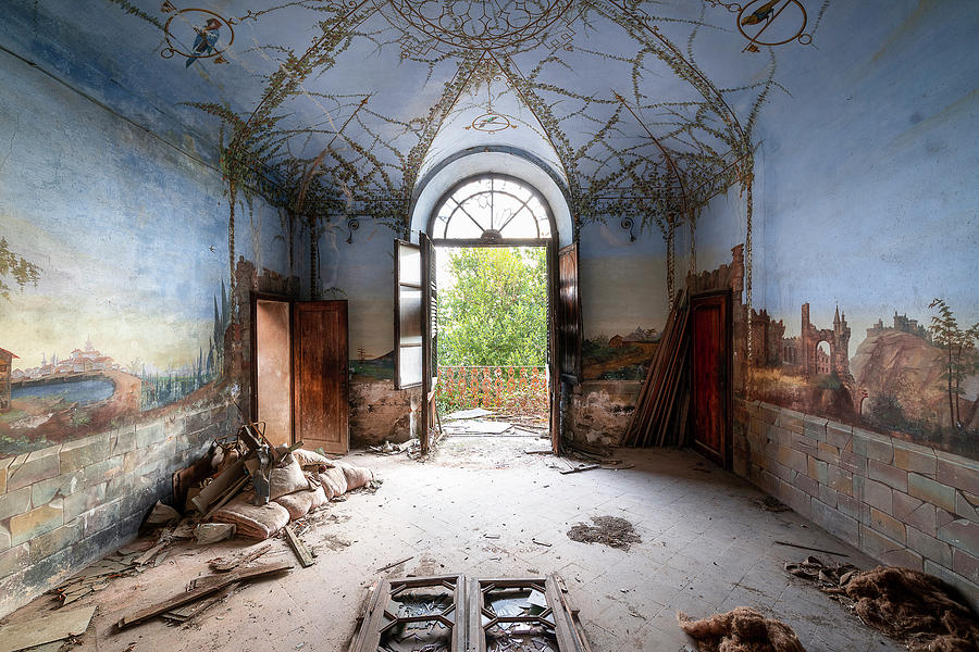 Abandoned Bird Cage Fresco Photograph by Roman Robroek