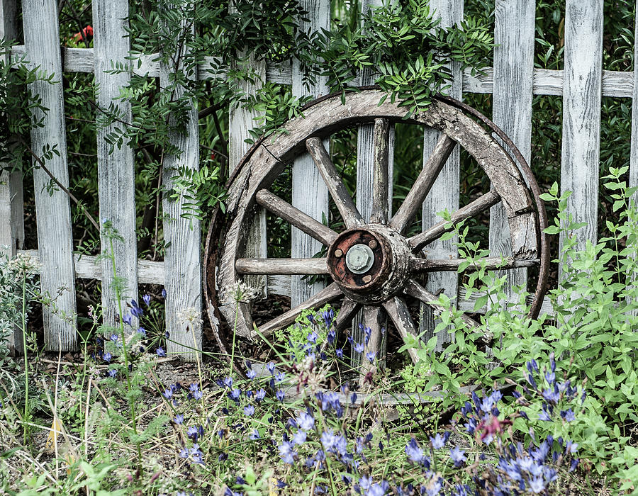 Abandoned Cart Wheel Photograph