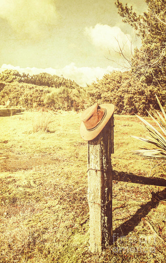 Abandoned cowboy hat on tree trunk Photograph by Jorgo Photography