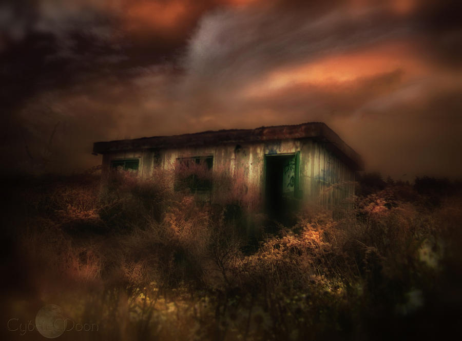 Abandoned Photograph by Cybele Moon