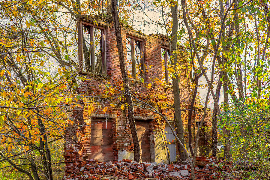 Abandoned Factory in the Fall Photograph by John A Megaw