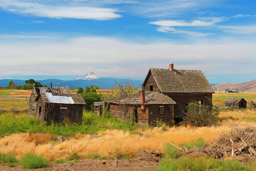Abandoned Farm, Ghost Town, Oregon Digital Art by Heeb Photos