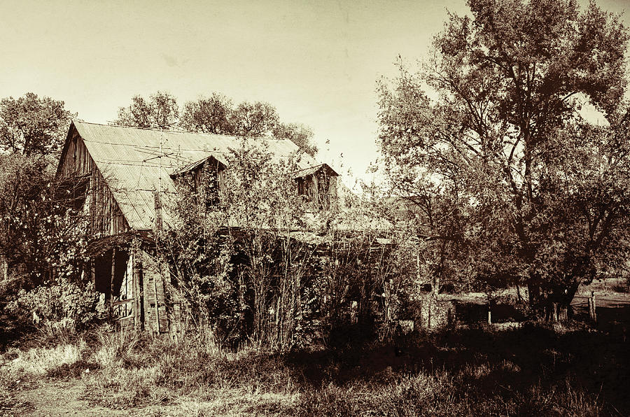 Abandoned farm house Photograph by Segura Shaw Photography