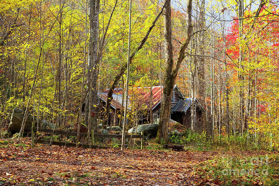 Abandoned Farmhouse Embraced By Fall Foliage Photograph by Felix Lai