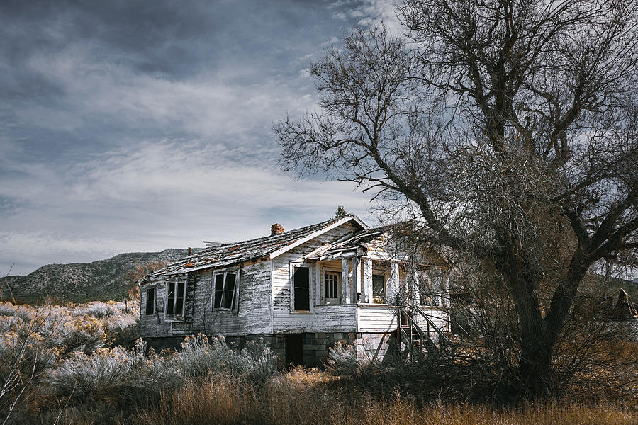 Abandoned Farmhouse in Golden, New Mexico Photograph by Robert FERD Frank