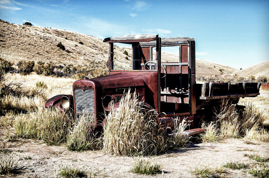 Abandoned Ford Truck II Photograph by Athena Mckinzie