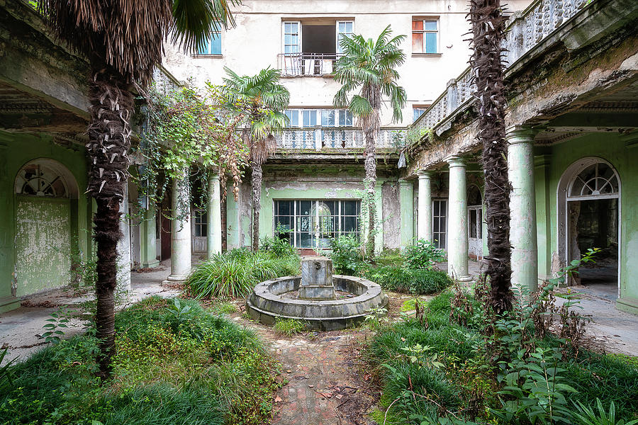 Abandoned Garden with Palm Trees Photograph by Roman Robroek