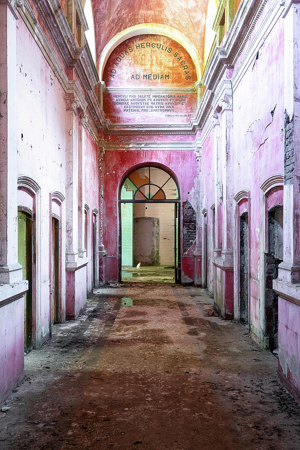 Abandoned Hallway in Decay with Cat Photograph by Roman Robroek