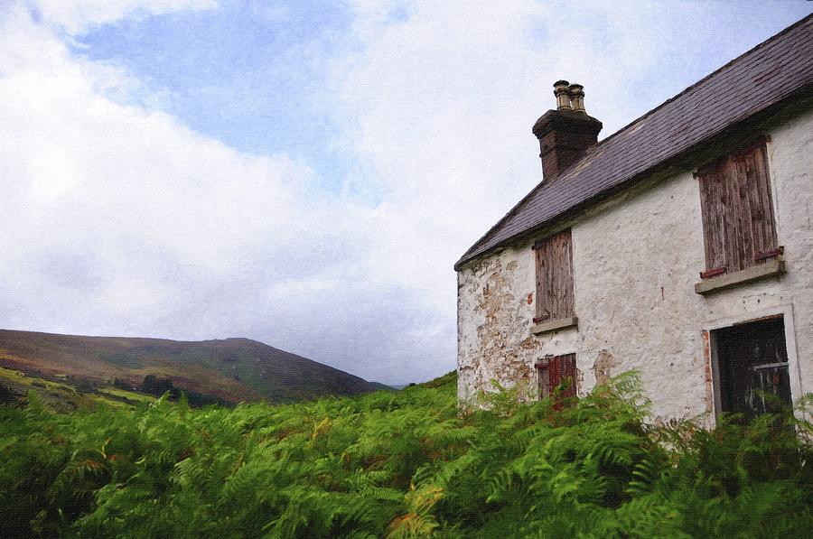Abandoned House. Wicklow Hills 1 Photograph by Jenny Rainbow