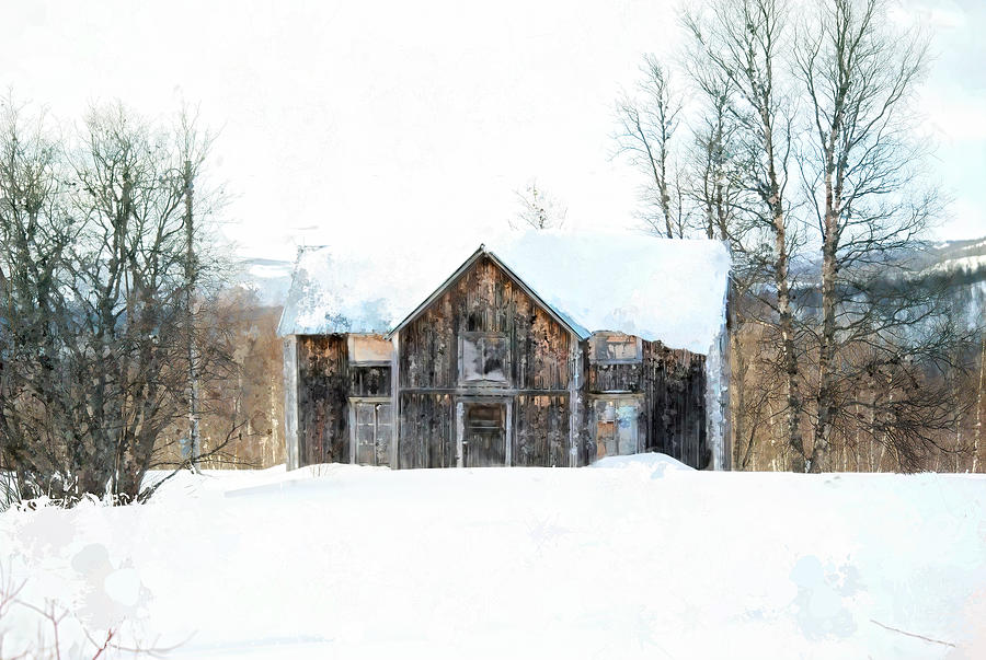 Abandoned in Winter Digital Art by Terry Davis