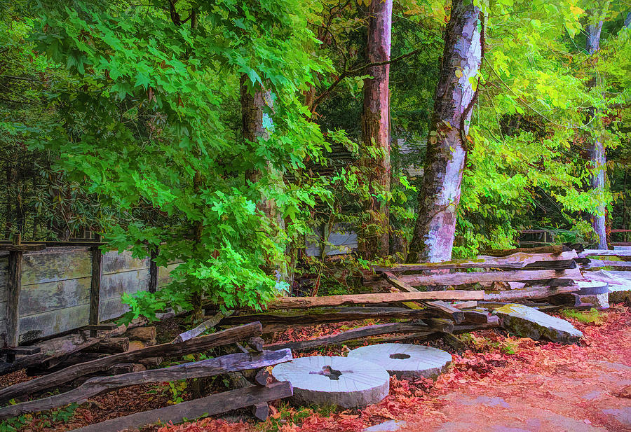 Abandoned Millstones 2 Photograph by Ginger Stein