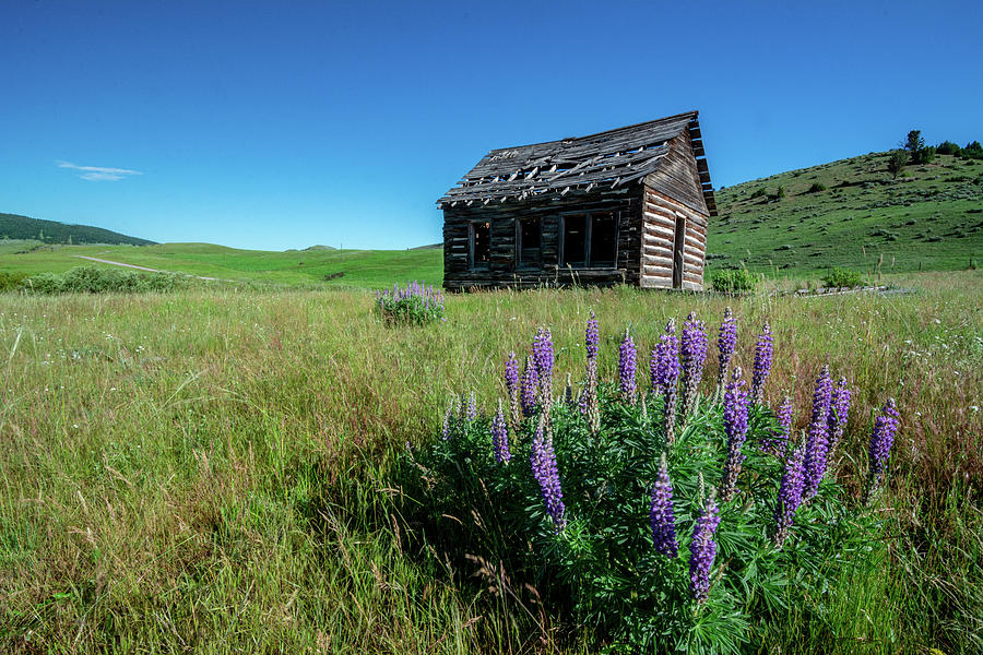 Abandoned on the Prairie Photograph by Douglas Wielfaert