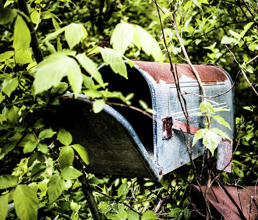 Abandoned postbox Photograph by Hyuntae Kim