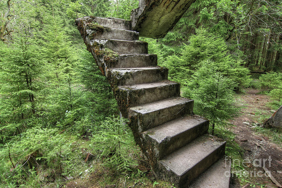 Abandoned rest of the concrete staircase in the woods Photograph by Michal Boubin