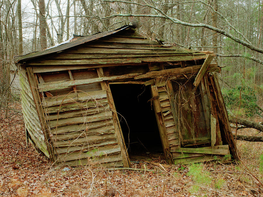 abandoned-shack-in-woods-douglas-barnett.jpg