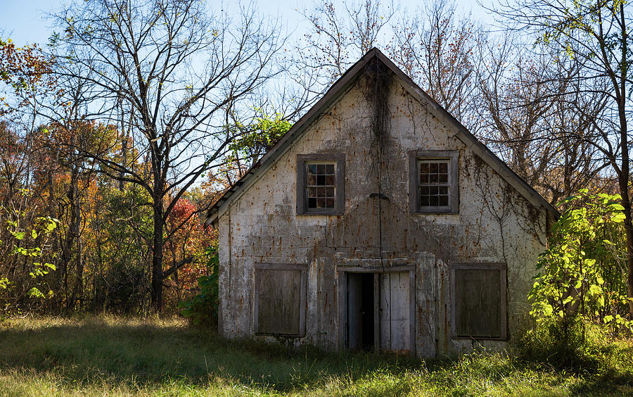 Abandoned Shed Photograph by Liz Albro