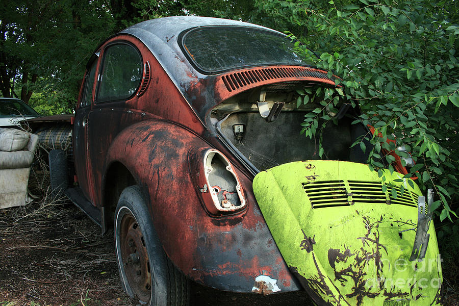 Transportation Photograph - Abandoned Super Beetle by Tony Baca