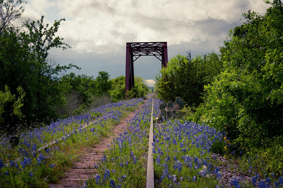 Abandoned Tracks Photograph by David Morefield