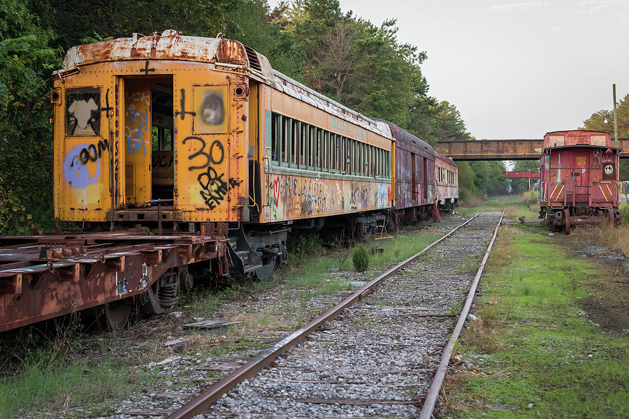 Abandoned Trains Photograph by Terry DeLuco