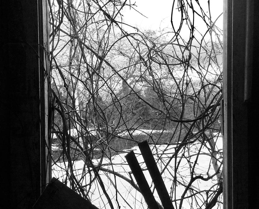 Abandoned Window Photograph