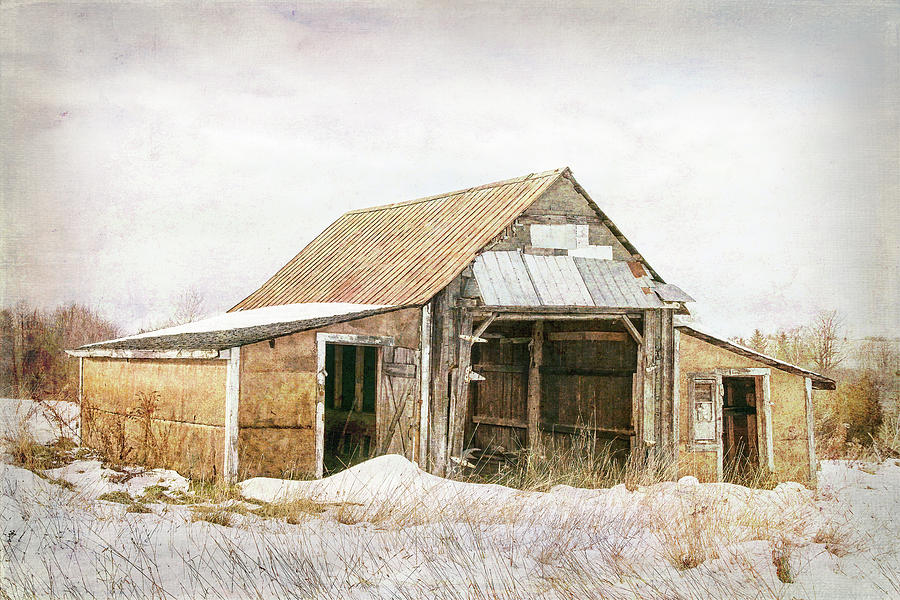Abandoned Wintry Barn Digital Art by Terry Davis