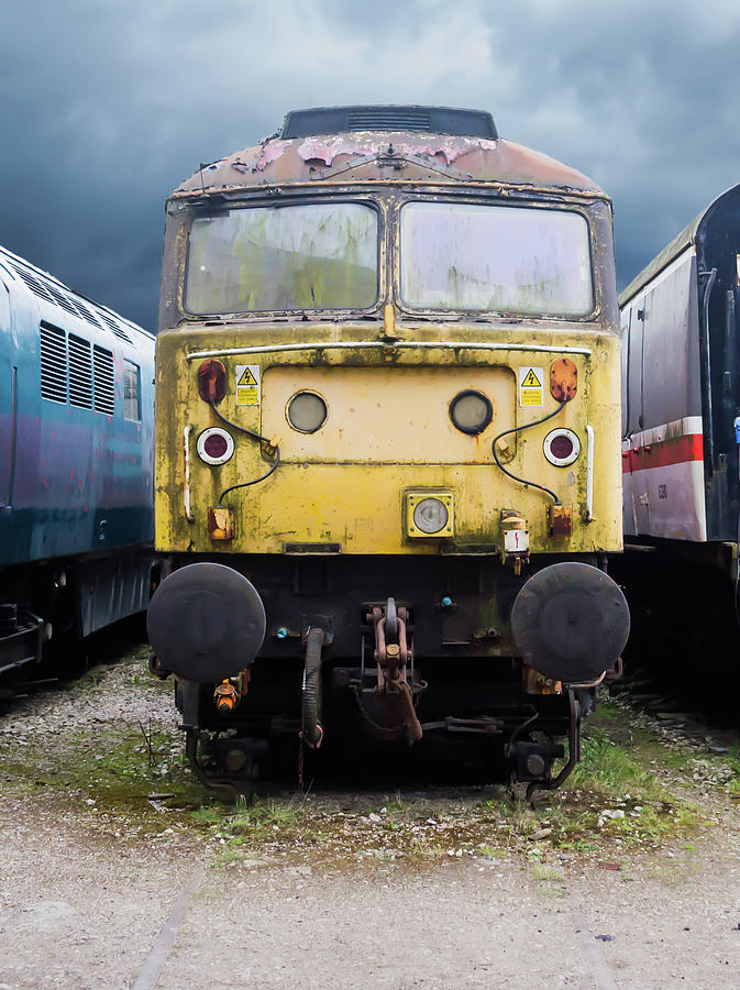 Abandoned Yellow Train Photograph by Scott Lyons