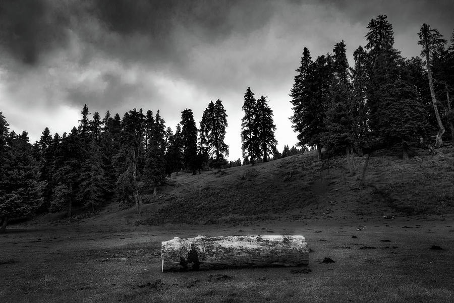 Abandoner Photograph by Elias Pentikis