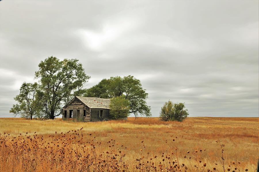 Abandonment Photograph by Larry Kniskern - Fine Art America