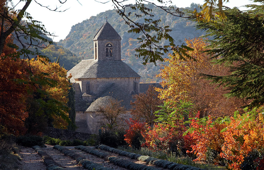Abbaye De Senanque, Provence, France Photograph by Thelinke