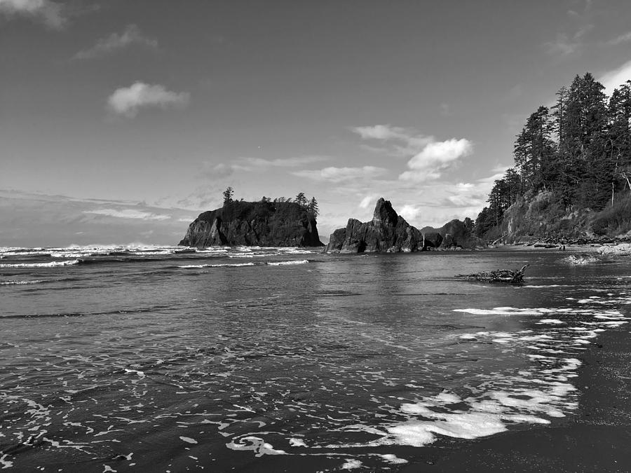 Abbey Island at Ruby Beach Photograph by Jerry Abbott