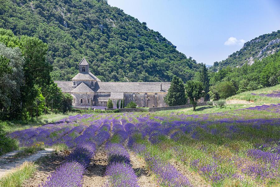 Architecture Photograph - Abbey Of Senanque And Blooming Rows by Levente Bodo