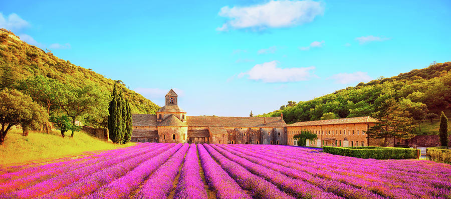 Abbey of Senanque blooming lavender flowers panoramic view. Gord Photograph by Stefano Orazzini