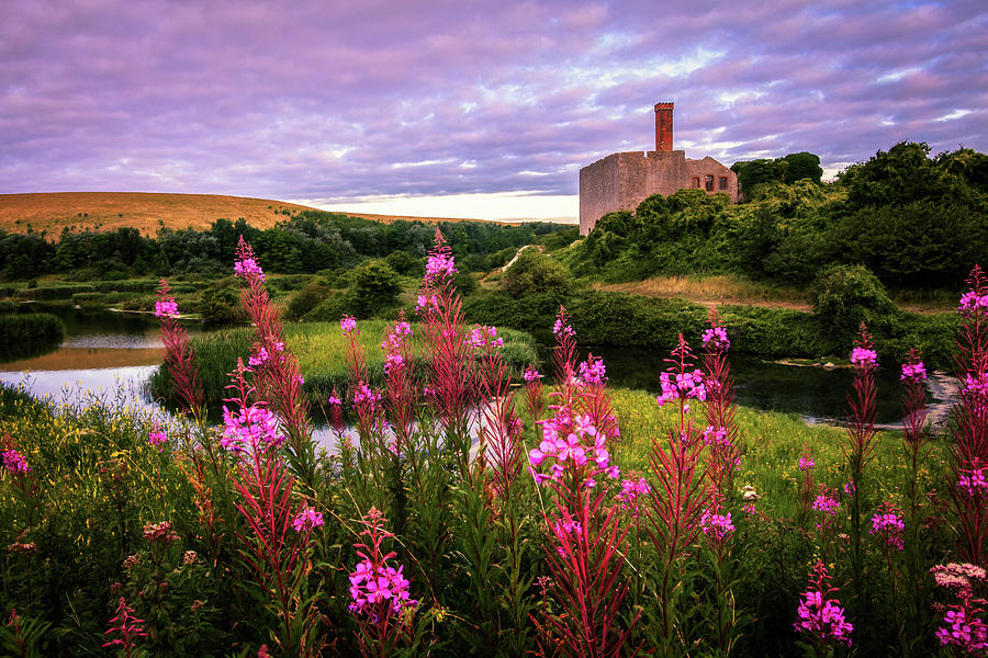 Aberthaw Nature Reserve, Lime Works Photograph by Joe Daniel Price