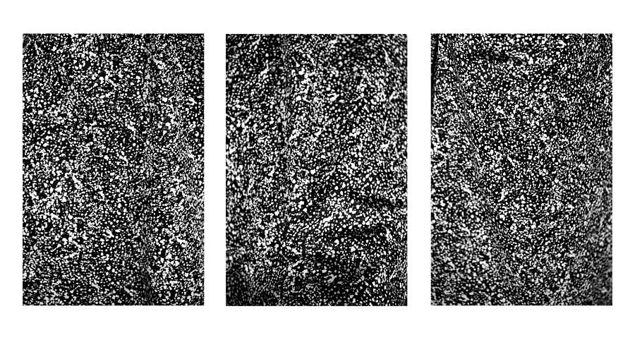 Galaxy Triptych by Marilyn Hunt Galaxy Triptych by Marilyn Hunt