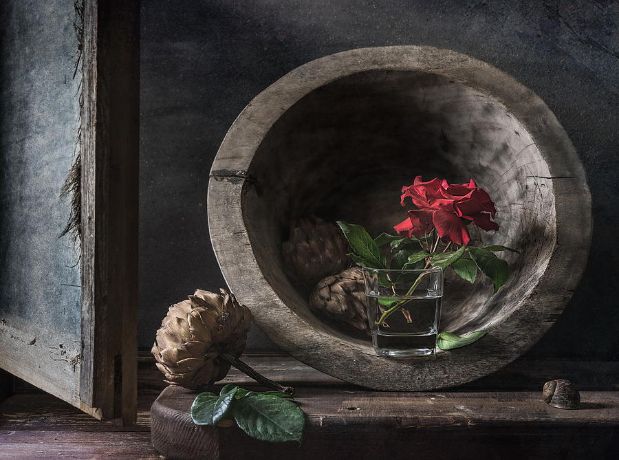 Still Life Photograph - About Artichoke And Rose by Vadim Kulinsky