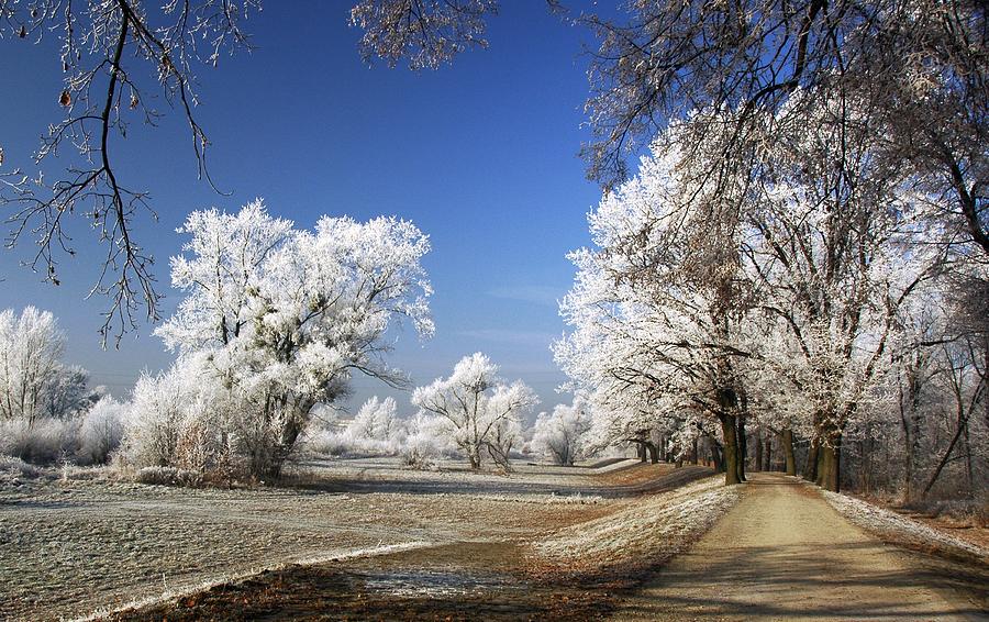 Winter Photograph - About Noon by Jacek Stefan