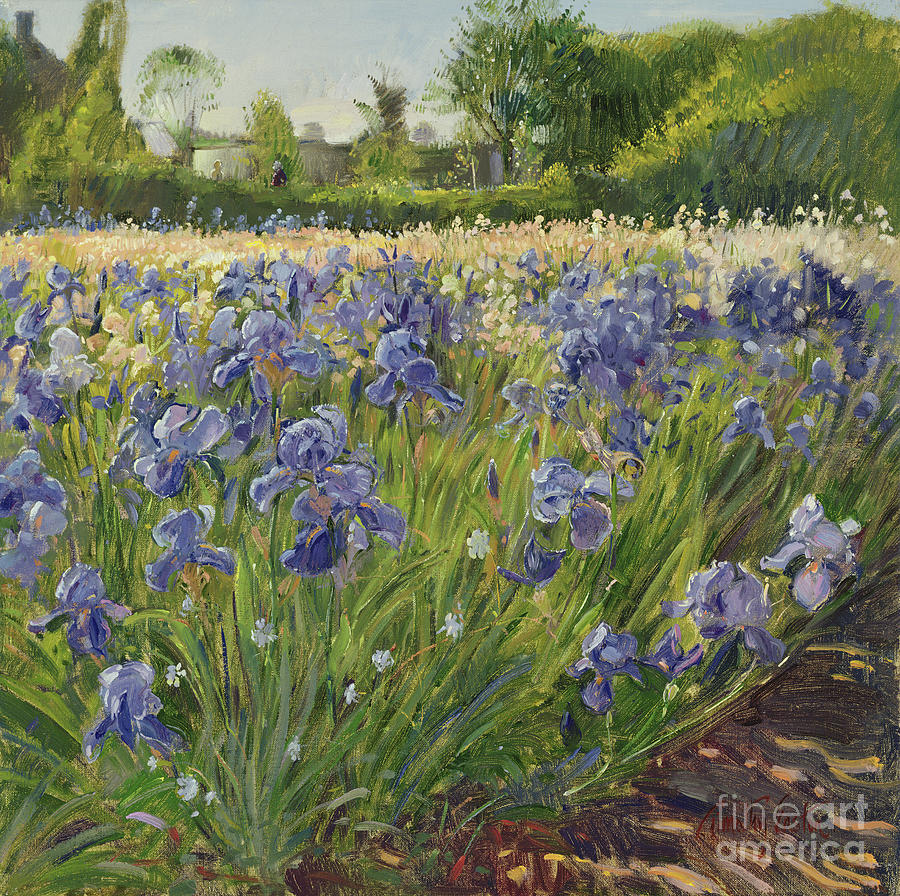 Above The Blue Irises Painting by Timothy Easton