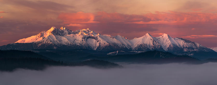 Sunset Photograph - Above The Fog by Krzysztof Mierzejewski