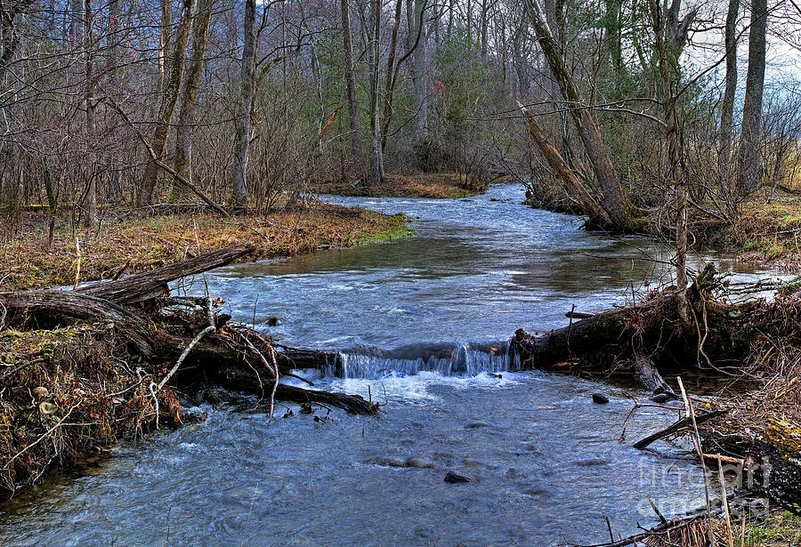 Abrams Creek Photograph by Douglas Stucky