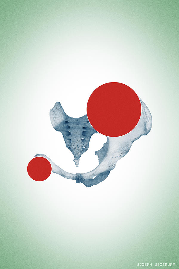 Abscission - Surreal Abstract Bone Collage and Circles by Joseph Westrupp Abscission - Surreal Abstract Bone Collage and Circles by Joseph Westrupp